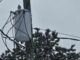 Casi 1000 clientes sin luz en Alabama tras fuertes tormentas Casi 1000 clientes sin luz en Alabama tras fuertes tormentas