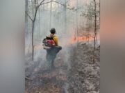 Combaten incendio del tamaño de 2500 campos de fútbol en Alabama Combaten incendio del tamaño de 2500 campos de fútbol en Alabama