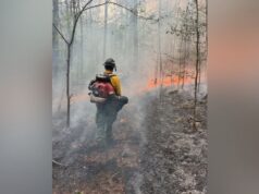 Combaten incendio del tamaño de 2500 campos de fútbol en Alabama Combaten incendio del tamaño de 2500 campos de fútbol en Alabama