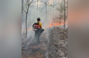 Combaten incendio del tamaño de 2500 campos de fútbol en Alabama Combaten incendio del tamaño de 2500 campos de fútbol en Alabama