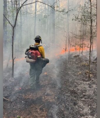 Combaten incendio del tamaño de 2500 campos de fútbol en Alabama Combaten incendio del tamaño de 2500 campos de fútbol en Alabama