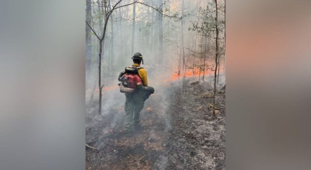 Combaten incendio del tamaño de 2500 campos de fútbol en Alabama Combaten incendio del tamaño de 2500 campos de fútbol en Alabama