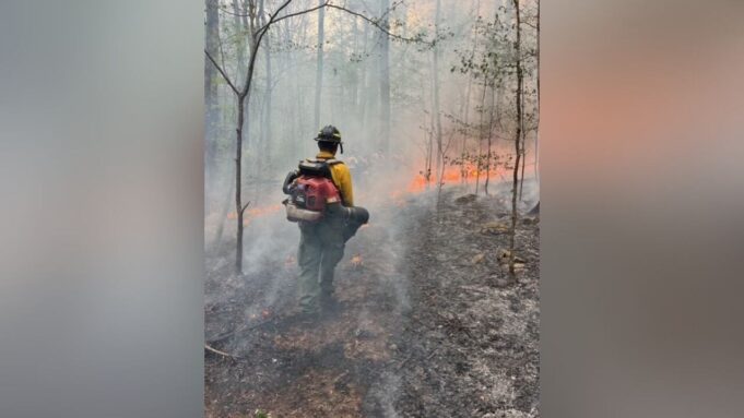 Combaten incendio del tamaño de 2500 campos de fútbol en Alabama Combaten incendio del tamaño de 2500 campos de fútbol en Alabama