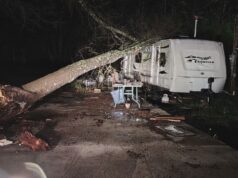 Comunidades de Alabama Central limpian árboles y escombros tras tormentas Comunidades de Alabama Central limpian árboles y escombros tras tormentas