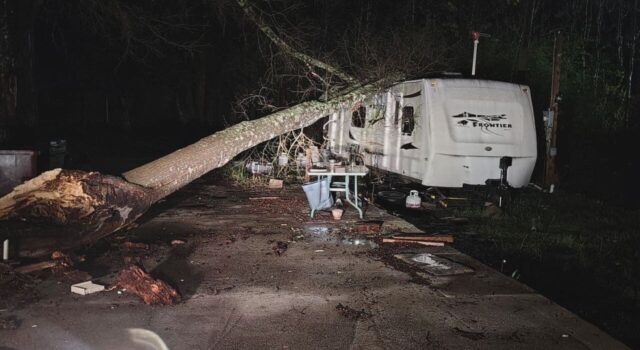 Comunidades de Alabama Central limpian árboles y escombros tras tormentas Comunidades de Alabama Central limpian árboles y escombros tras tormentas