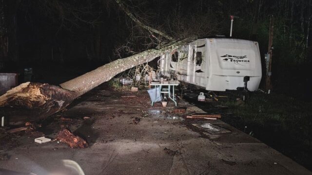 Comunidades de Alabama Central limpian árboles y escombros tras tormentas