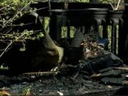 Hombre de edad avanzada muere en incendio de casa móvil en el condado de Etowah Hombre de edad avanzada muere en incendio de casa móvil en el condado de Etowah