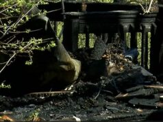 Hombre de edad avanzada muere en incendio de casa móvil en el condado de Etowah Hombre de edad avanzada muere en incendio de casa móvil en el condado de Etowah