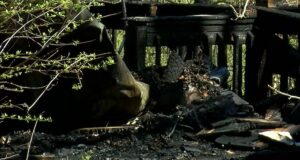 Hombre de edad avanzada muere en incendio de casa móvil en el condado de Etowah Hombre de edad avanzada muere en incendio de casa móvil en el condado de Etowah