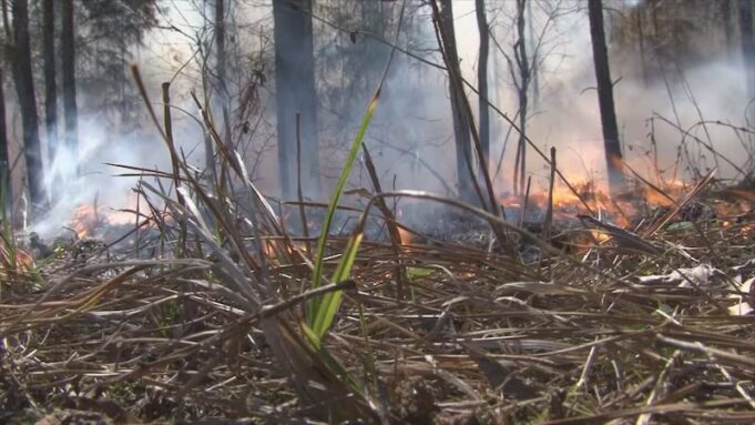 Incendios forestales azotan el condado de Walker Incendios forestales azotan el condado de Walker