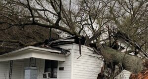 Más de 1000 personas sin energía en Alabama central mientras continúa la limpieza Más de 1000 personas sin energía en Alabama central mientras continúa la limpieza