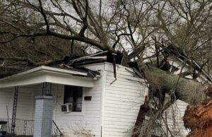 Más de 1000 personas sin energía en Alabama central mientras continúa la limpieza Más de 1000 personas sin energía en Alabama central mientras continúa la limpieza