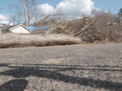 Pinson advierte a víctimas de tormenta sobre posibles estafas de contratistas Pinson advierte a víctimas de tormenta sobre posibles estafas de contratistas