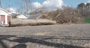 Pinson advierte a víctimas de tormenta sobre posibles estafas de contratistas Pinson advierte a víctimas de tormenta sobre posibles estafas de contratistas