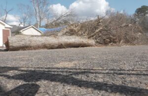 Pinson advierte a víctimas de tormenta sobre posibles estafas de contratistas Pinson advierte a víctimas de tormenta sobre posibles estafas de contratistas