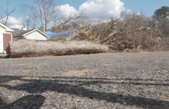 Pinson advierte a víctimas de tormenta sobre posibles estafas de contratistas Pinson advierte a víctimas de tormenta sobre posibles estafas de contratistas