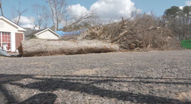 Pinson advierte a víctimas de tormenta sobre posibles estafas de contratistas Pinson advierte a víctimas de tormenta sobre posibles estafas de contratistas