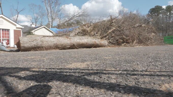Pinson advierte a víctimas de tormenta sobre posibles estafas de contratistas Pinson advierte a víctimas de tormenta sobre posibles estafas de contratistas