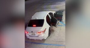 Policía busca sospechosos tras robo y persecución vehicular en Jacksonville Policía busca sospechosos tras robo y persecución vehicular en Jacksonville