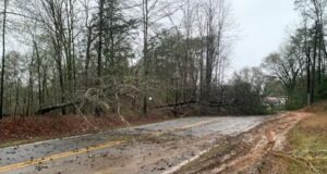 Tornado EF-0 confirmado en el oeste del condado de Jefferson Tornado EF-0 confirmado en el oeste del condado de Jefferson