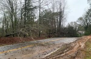 Tornado EF-0 confirmado en el oeste del condado de Jefferson Tornado EF-0 confirmado en el oeste del condado de Jefferson