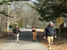 Vecinos de Gadsden, cansados de perros callejeros que aterrorizan su comunidad Vecinos de Gadsden, cansados de perros callejeros que aterrorizan su comunidad