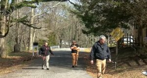 Vecinos de Gadsden, cansados de perros callejeros que aterrorizan su comunidad Vecinos de Gadsden, cansados de perros callejeros que aterrorizan su comunidad