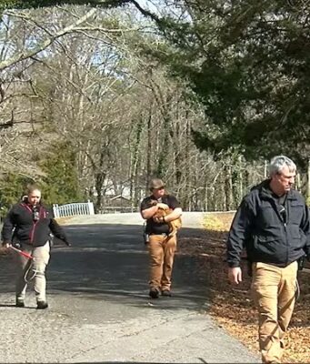 Vecinos de Gadsden, cansados de perros callejeros que aterrorizan su comunidad Vecinos de Gadsden, cansados de perros callejeros que aterrorizan su comunidad