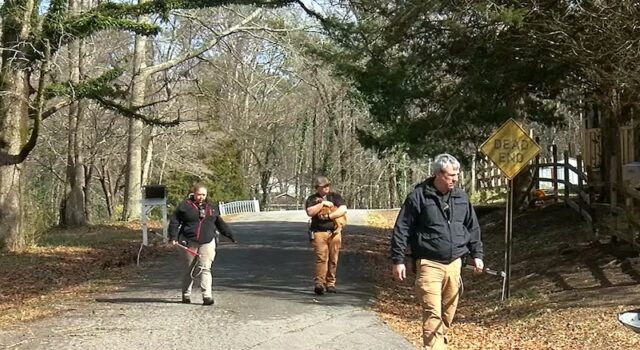 Vecinos de Gadsden, cansados de perros callejeros que aterrorizan su comunidad Vecinos de Gadsden, cansados de perros callejeros que aterrorizan su comunidad