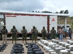 Ecuador incauta 530 kilos de marihuana y detiene a sospechoso en la frontera Ecuador incauta 530 kilos de marihuana y detiene a sospechoso en la frontera