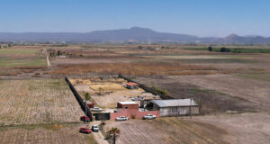 FGR detiene a 47 personas por campo de exterminio en Jalisco FGR detiene a 47 personas por campo de exterminio en Jalisco