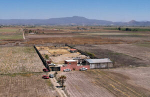 FGR detiene a 47 personas por campo de exterminio en Jalisco FGR detiene a 47 personas por campo de exterminio en Jalisco