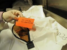 Identificación forense confirma que cuerpos hallados en Alabama eran de una familia guatemalteca asesinada Identificación forense confirma que cuerpos hallados en Alabama eran de una familia guatemalteca asesinada