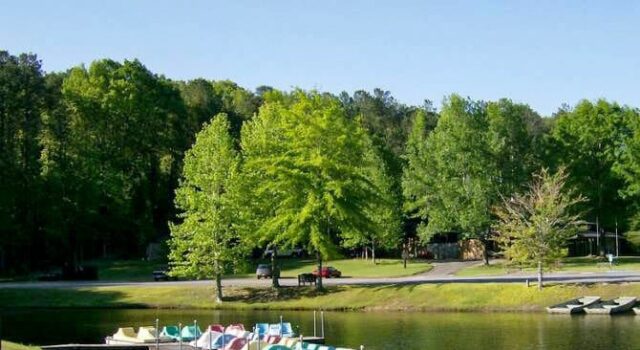 El Parque Estatal Lake Lurleen exhibirá y celebrará sus renovaciones El Parque Estatal Lake Lurleen exhibirá y celebrará sus renovaciones