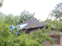 Caída de árboles causa daños en viviendas de Ensley y Grayson Valley Caída de árboles causa daños en viviendas de Ensley y Grayson Valley