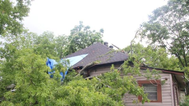 Caída de árboles causa daños en viviendas de Ensley y Grayson Valley