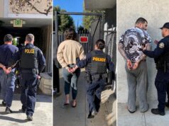 Condenados por fingir ataques de oso a autos de lujo para cobrar seguros en California Condenados por fingir ataques de oso a autos de lujo para cobrar seguros en California