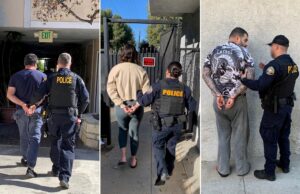 Condenados por fingir ataques de oso a autos de lujo para cobrar seguros en California Condenados por fingir ataques de oso a autos de lujo para cobrar seguros en California