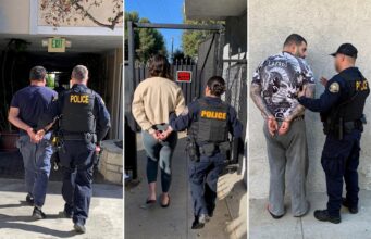 Condenados por fingir ataques de oso a autos de lujo para cobrar seguros en California Condenados por fingir ataques de oso a autos de lujo para cobrar seguros en California