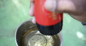 México crea inteligencia artificial para combatir dengue tras repunte de casos México crea inteligencia artificial para combatir dengue tras repunte de casos