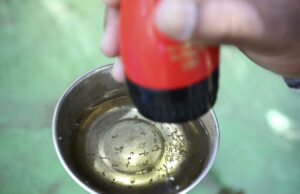 México crea inteligencia artificial para combatir dengue tras repunte de casos México crea inteligencia artificial para combatir dengue tras repunte de casos