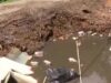 Vecindario de Alabama bajo riesgo sanitario por gran bache Gran bache profundo en un callejón urbano pavimentado con acumulación de escombros y daños en la acera.