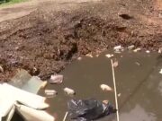 Vecindario de Alabama bajo riesgo sanitario por gran bache Gran bache profundo en un callejón urbano pavimentado con acumulación de escombros y daños en la acera.
