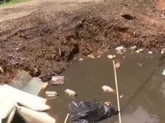 Vecindario de Alabama bajo riesgo sanitario por gran bache Gran bache profundo en un callejón urbano pavimentado con acumulación de escombros y daños en la acera.