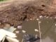 Vecindario de Alabama bajo riesgo sanitario por gran bache Gran bache profundo en un callejón urbano pavimentado con acumulación de escombros y daños en la acera.