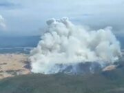 Incendio en Palo Verde consume cientos de hectáreas Vista aérea de una inmensa columna de humo blanco provocada por un incendio forestal en el Parque Nacional Palo Verde.