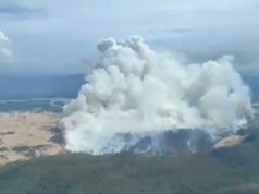 Incendio en Palo Verde consume cientos de hectáreas Vista aérea de una inmensa columna de humo blanco provocada por un incendio forestal en el Parque Nacional Palo Verde.