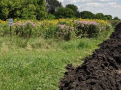 Subvenciones de la EPA para innovacion liderada por agricultores en el Golfo Subvenciones de la EPA para innovacion liderada por agricultores en el Golfo
