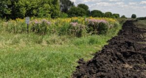 Subvenciones de la EPA para innovacion liderada por agricultores en el Golfo Subvenciones de la EPA para innovacion liderada por agricultores en el Golfo