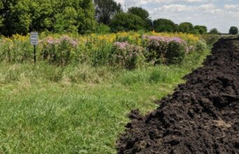 Subvenciones de la EPA para innovacion liderada por agricultores en el Golfo Subvenciones de la EPA para innovacion liderada por agricultores en el Golfo